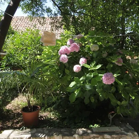 Appartement Milu
